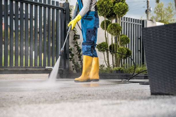 Best Roof Power Washing Services  in Johnson City, TN